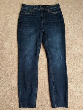 Judy Blue Skinny Fit Jeans Size 13/31